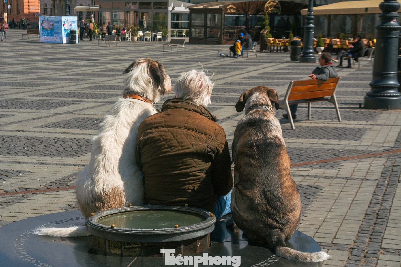 Đôi mắt của Sibiu như những người bảo vệ thầm lặng, quan sát quá khứ, hiện tại và tương lai của thành phố, mời gọi tất cả khám phá những bí mật mà chúng nắm giữ trong tầm mắt. Ảnh: Kinh Quốc.