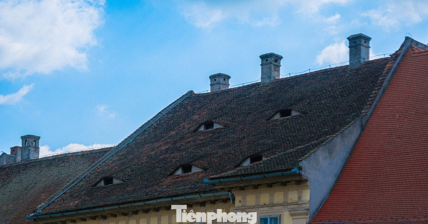 Đằng sau những ánh mắt đầy “phán xét” này là những câu chuyện lịch sử pha lẫn truyền thuyết lạ lùng. Ảnh: Kinh Quốc.