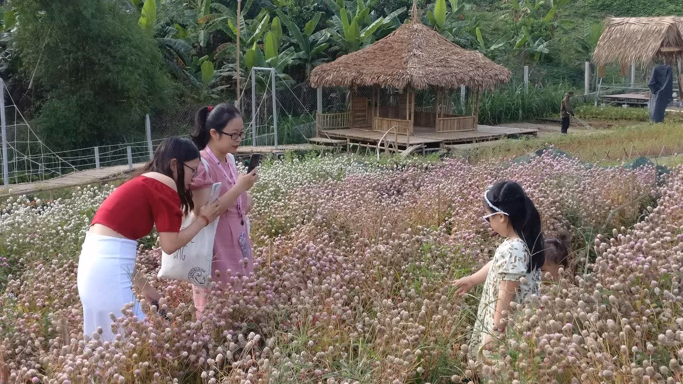 Một em nhỏ hào hứng tạo dáng trong vườn hoa để người lớn chụp ảnh - ảnh Kim Ngân