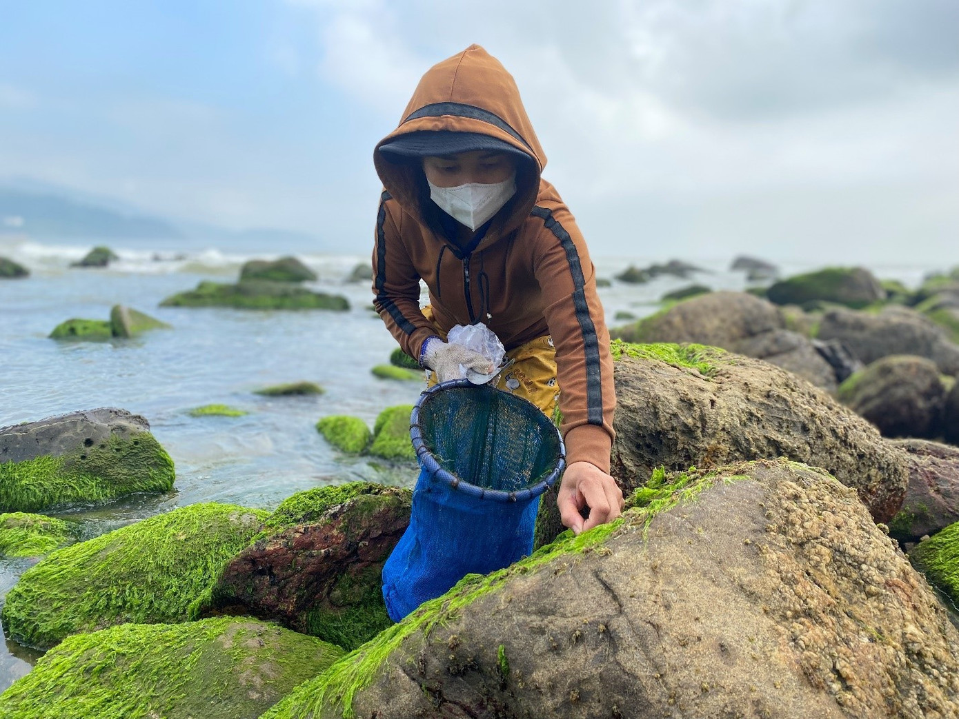 Bà Trần Thị Liên (50 tuổi, trú tại Nam Ô) chia sẻ: “Bắt đầu từ 6 giờ sáng cô ra đây để cạo mứt rong. Cô với mấy người ở đây hái rong về nhà ăn nên chỉ có dụng cụ thô sơ và đi gần bờ, còn những người khai thác để bán thì phải đi thuyền ra xa hơn. Mỗi buổi như vậy cô chỉ cạo được nửa kg, đủ để nấu canh cả nhà ăn”. Ảnh: Phượng Nhung