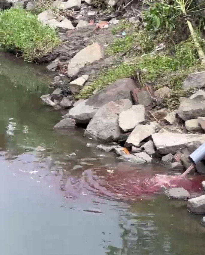 Một điểm xả thải ra suối Xiệp có màu đỏ bất thường Một điểm xả thải ra suối Xiệp có màu đỏ bất thường