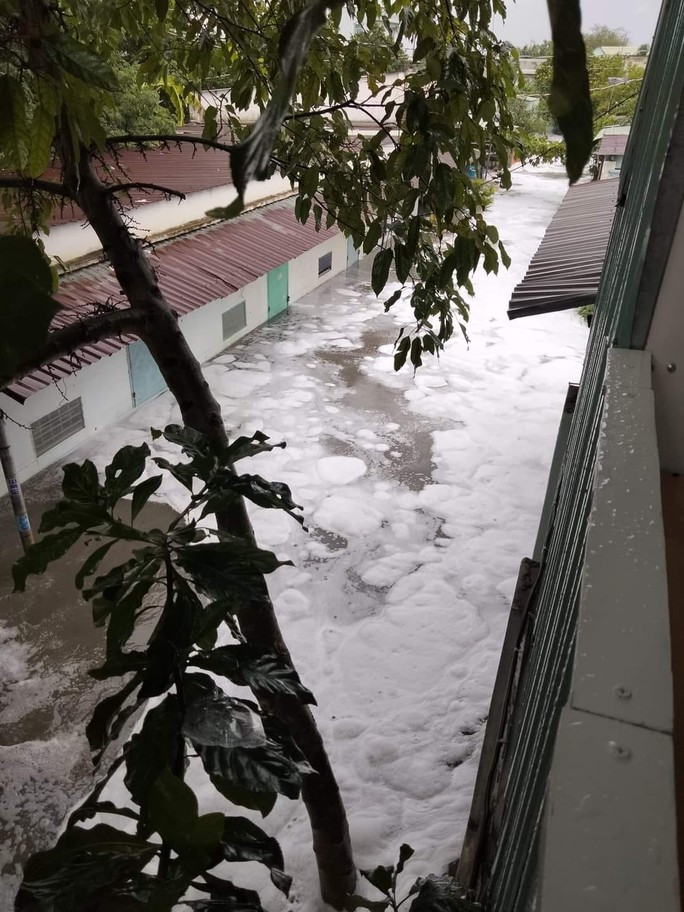 Bọt biển khổng lồ tràn vào khu dân cư Bọt biển khổng lồ tràn vào khu dân cư