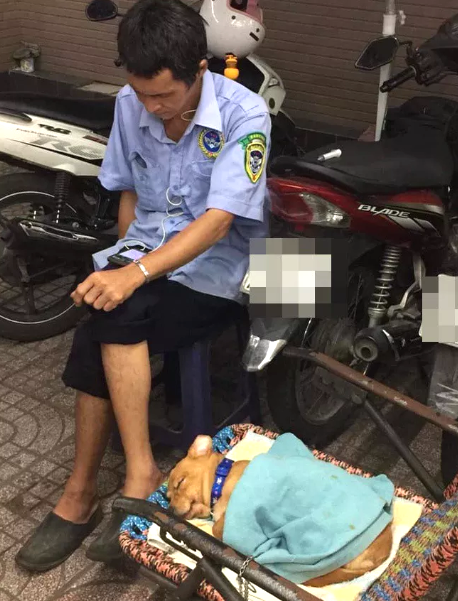 Câu chuyện gặp tỷ phú trên đường gây bão mạng ảnh 2