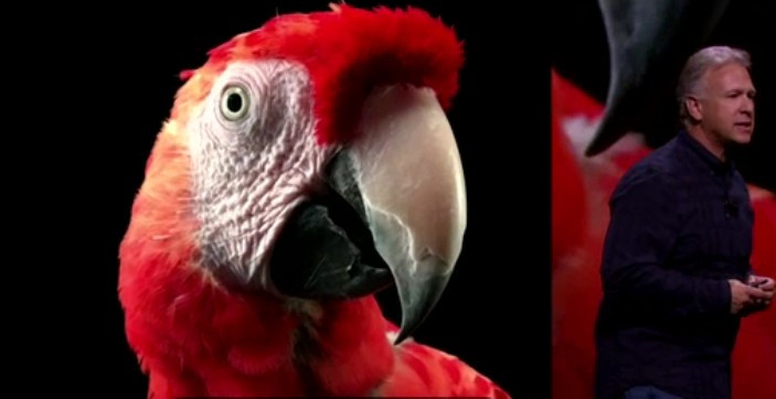 iPhone 6S và 6S Plus trình làng, thêm phiên bản màu vàng hồng ảnh 6