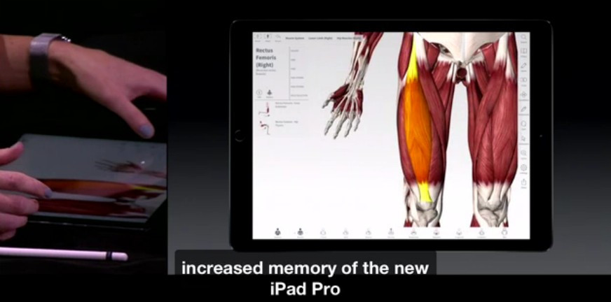 iPhone 6S và 6S Plus trình làng, thêm phiên bản màu vàng hồng ảnh 21