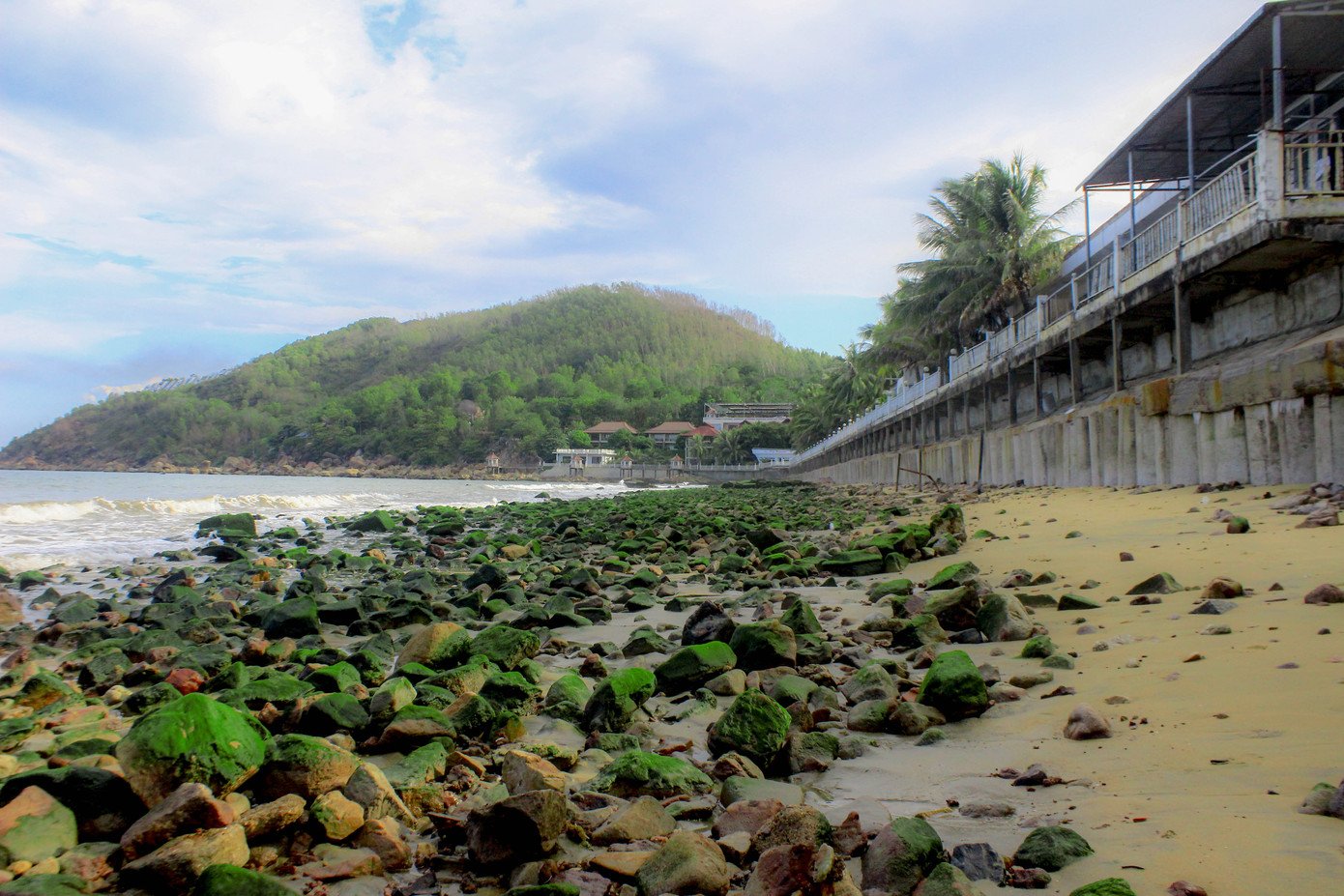 Thủy triều rút sâu, bất ngờ lộ ra bãi đá rêu xanh ở Quy Nhơn ảnh 2