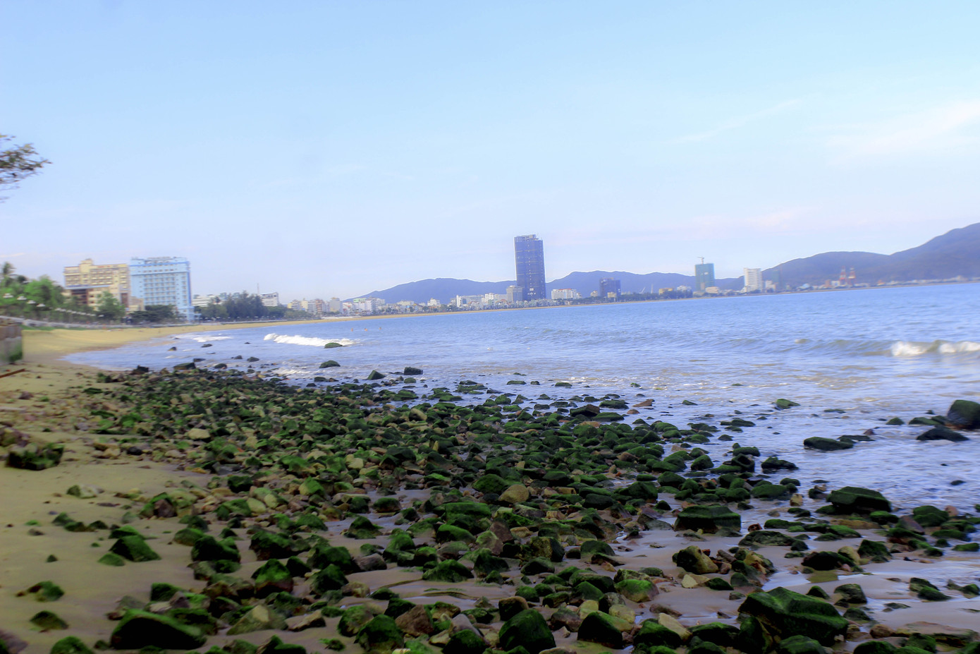 Thủy triều rút sâu, bất ngờ lộ ra bãi đá rêu xanh ở Quy Nhơn ảnh 3