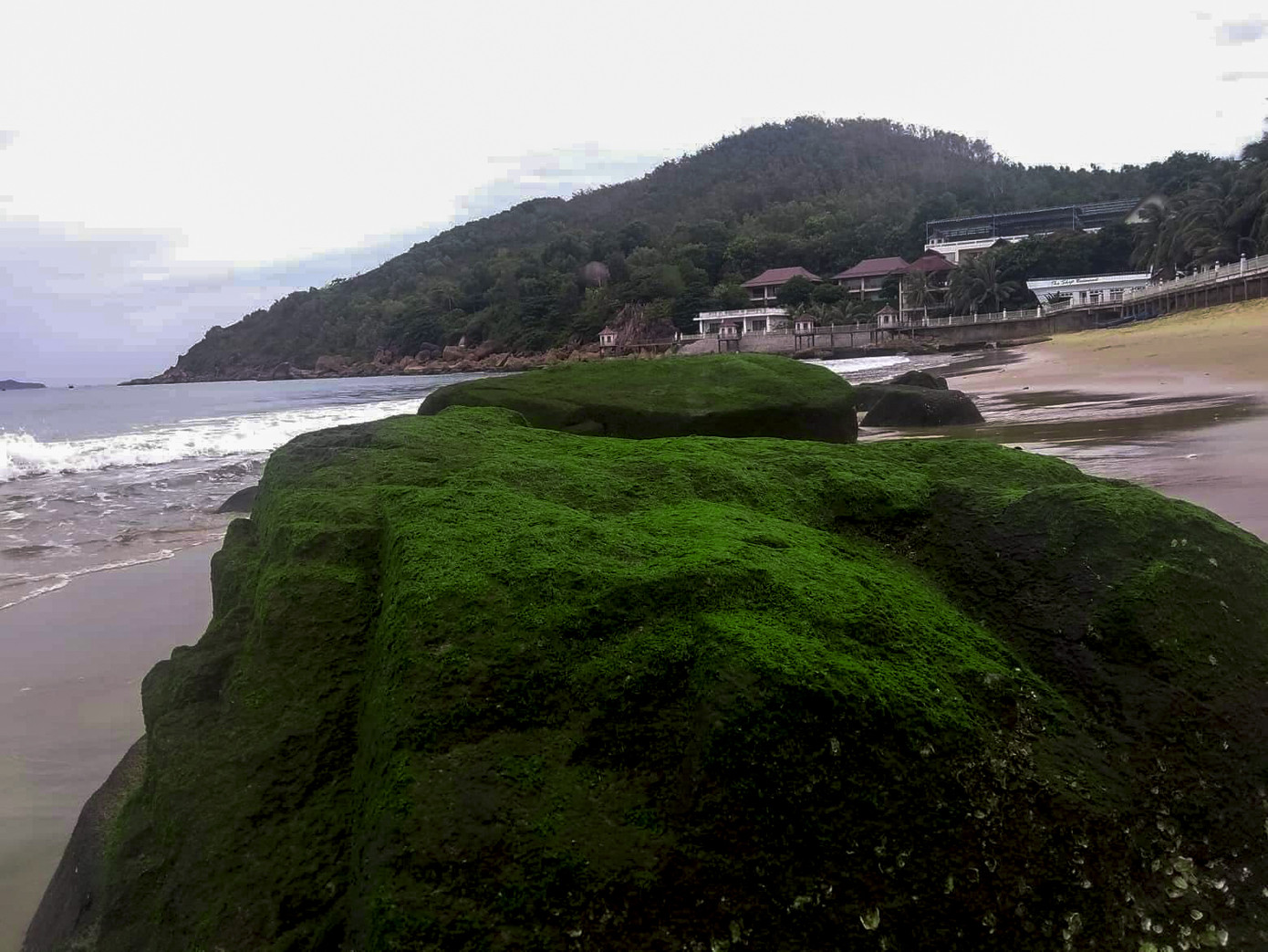 Thủy triều rút sâu, bất ngờ lộ ra bãi đá rêu xanh ở Quy Nhơn ảnh 4