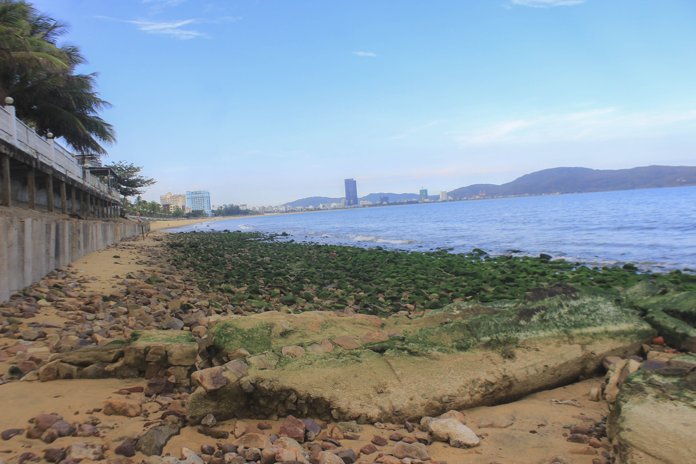 Thủy triều rút sâu, bất ngờ lộ ra bãi đá rêu xanh ở Quy Nhơn ảnh 1