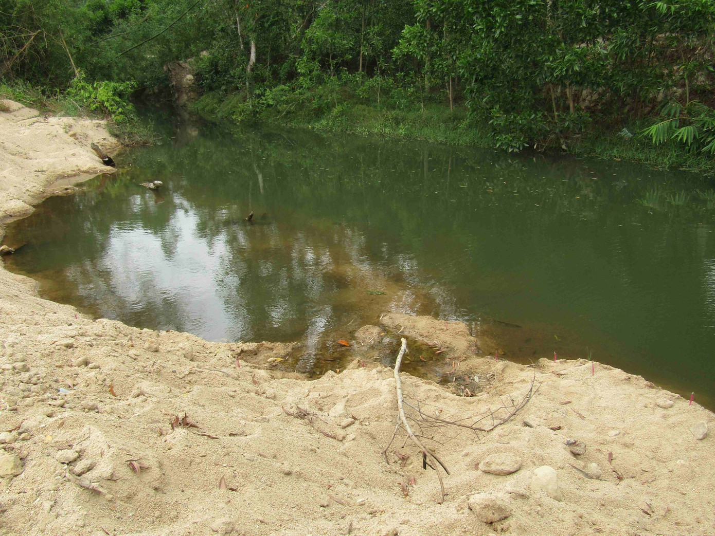 Ông Trương Ngọc Hạnh - Chủ tịch UBND xã Cát Lâm khẳng định không có dấu hiệu khai thác cát tại khu vực suối Lỗ Lùng, nơi em H. tử vong