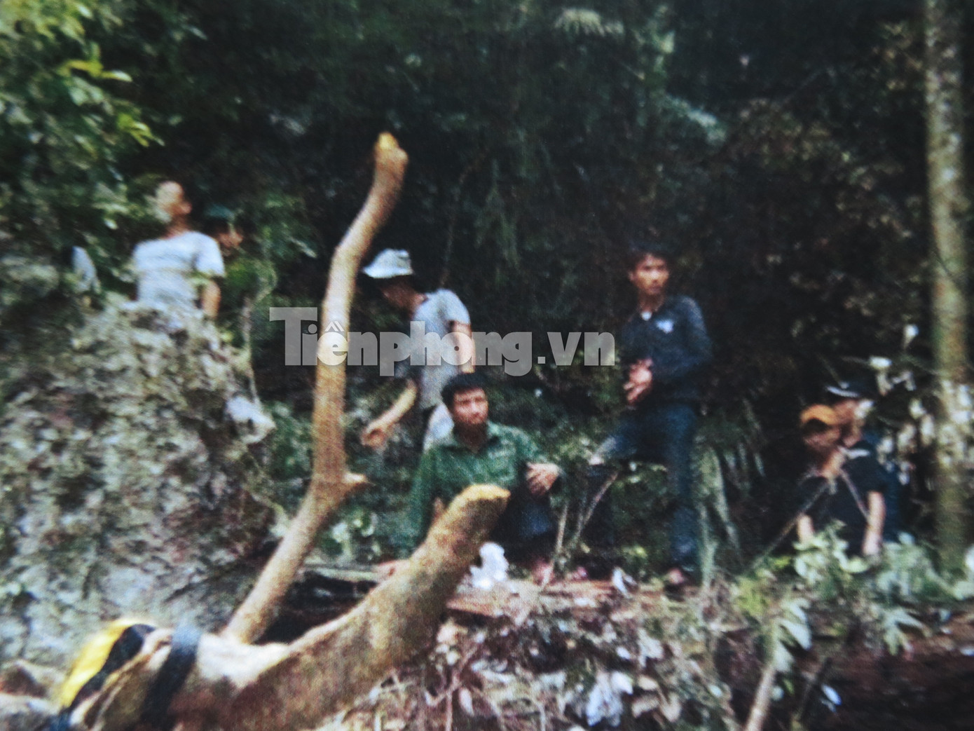 Trong lòng con réc có diện tích khoảng 80m2, vai, vỏ, bài, mạt cưa, lá của cây huê chất cao 0,4m hr