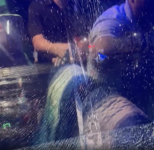 Vật găm vào kính xe ô tô màu xanh, gây nứt kính một góc Vật găm vào kính xe ô tô màu xanh, gây nứt kính một góc