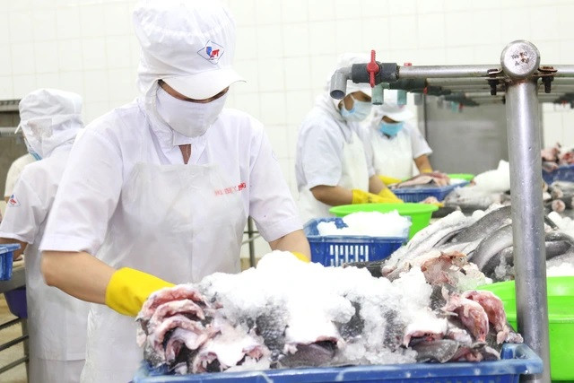 Trong bối cảnh thị trường lao động ngày càng cạnh tranh, việc tuân thủ các quy định của pháp luật lao động không chỉ là nghĩa vụ pháp lý mà còn là yếu tố quan trọng để thu hút và giữ chân nhân tài.