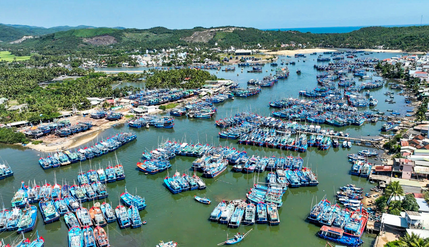 Bình Định là một trong những địa phương có đội tàu đánh bắt xa bờ lớn trên cả nước.