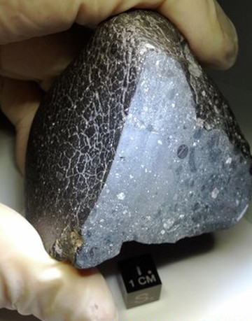 Viên đá mang tên Northwest Africa 7034. Ảnh: Carl Agee. Viên đá mang tên Northwest Africa 7034. Ảnh: Carl Agee