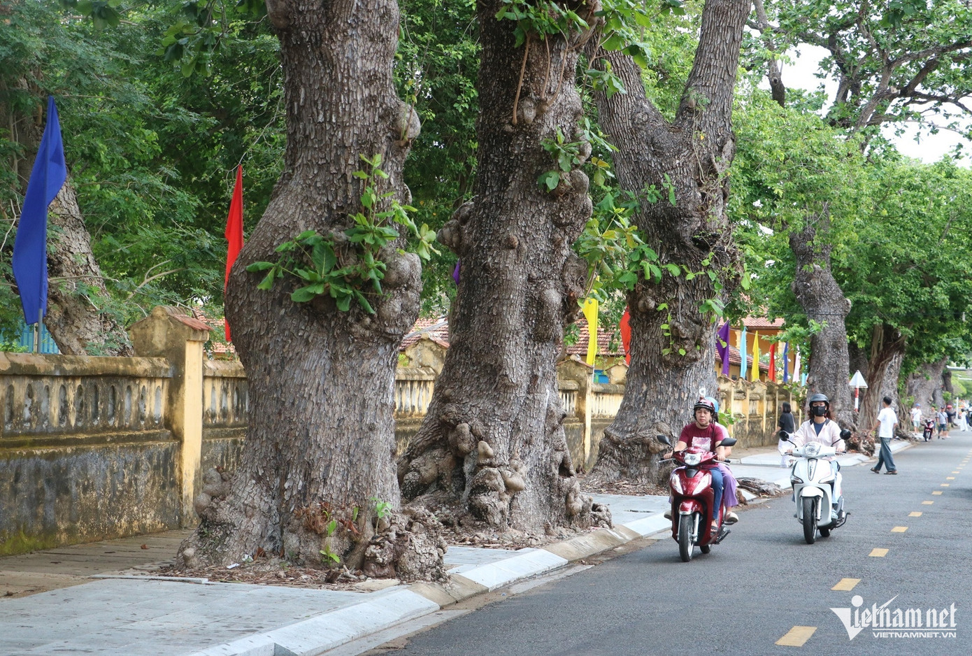 Hàng cây bàng trên đường Lê Duẩn. Hàng cây bàng trên đường Lê Duẩn.