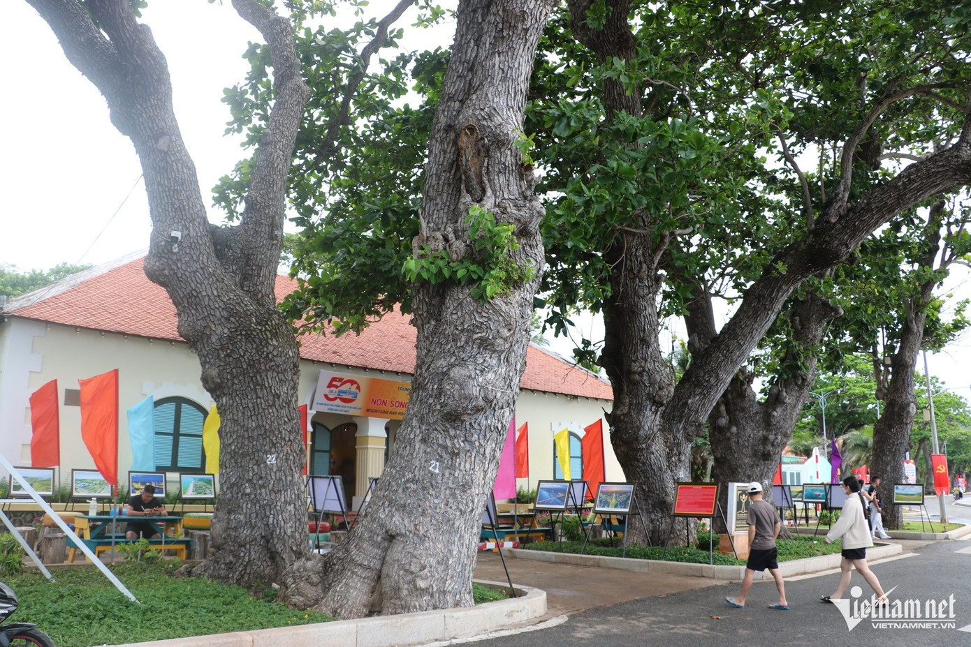 Những cây bàng cổ thụ trên đường Tôn Đức Thắng, khu vực đối diện cầu tàu 914 lịch sử thường thu hút du khách chụp hình, chiêm ngưỡng. Những cây bàng cổ thụ trên đường Tôn Đức Thắng, khu vực đối diện cầu tàu 914 lịch sử thường thu hút du khách chụp hình, chiêm ngưỡng.