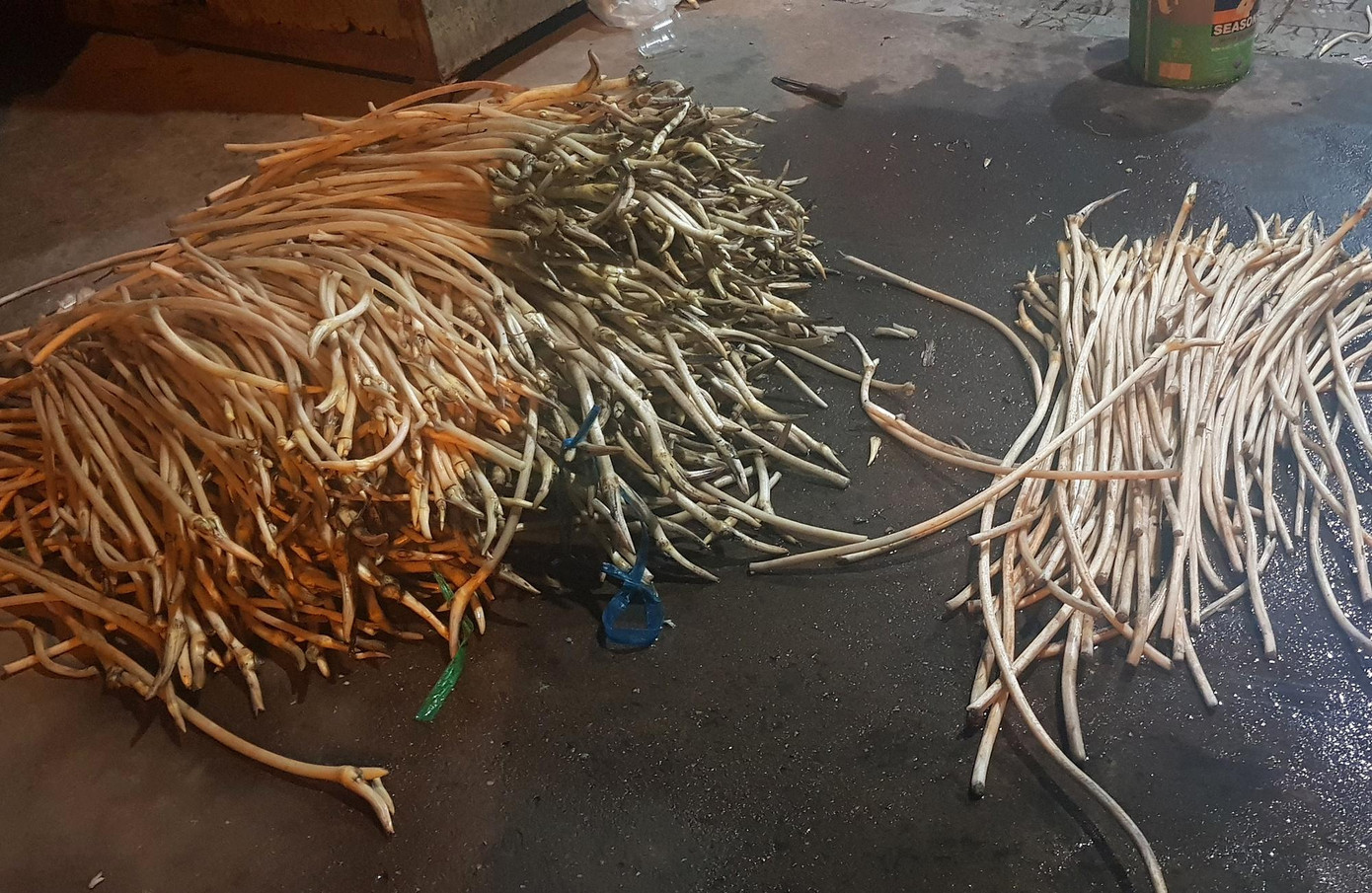 Ngó sen được ngâm trong hóa chất để làm trắng trước khi bán ra thị trường.