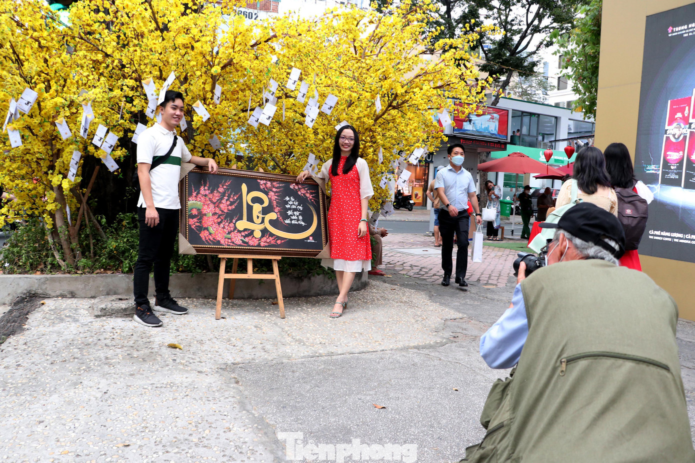 Phố ông đồ năm nay với đường mai vàng cũng là điểm thu hút giới trẻ đến tham quan, chụp hình lưu niệm.