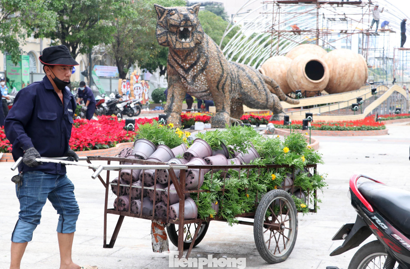 Năm nay cũng là lần đầu tiên, sỏi được chọn làm chất liệu để thể hiện linh vật cho đường hoa, phù hợp với đặc tính “phong thủy” của hổ. Với bề ngoài tự tin đến lạnh lùng, đầy khí chất, sẵn sàng đối đầu và không ngại thử thách, hổ như một viên sỏi được môi trường thiên nhiên hoang dã tôi luyện mỗi ngày, trở nên đẹp kiêu dũng và sắc lạnh.