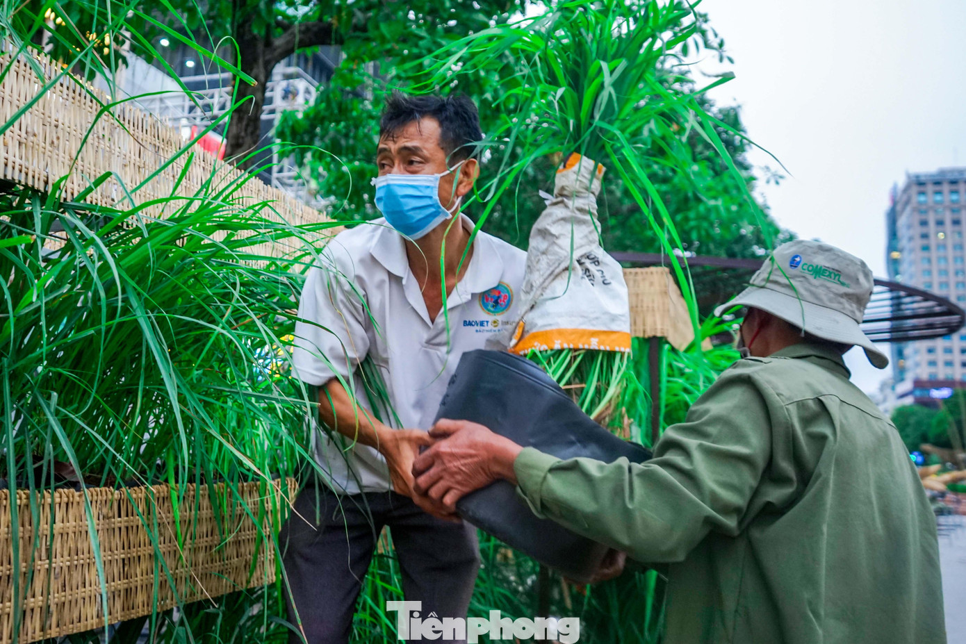 Đường hoa có chiều dài hơn 600m, đường hoa năm nay sử dụng nhiều chất liệu thân thiện với môi trường và có thể tái sử dụng như kim loại, xốp, mây, tre, nứa, gạch, lưới, dây đan… cùng khoảng 80 loại hoa, gần 97.000 chậu, giỏ hoa các loại.
