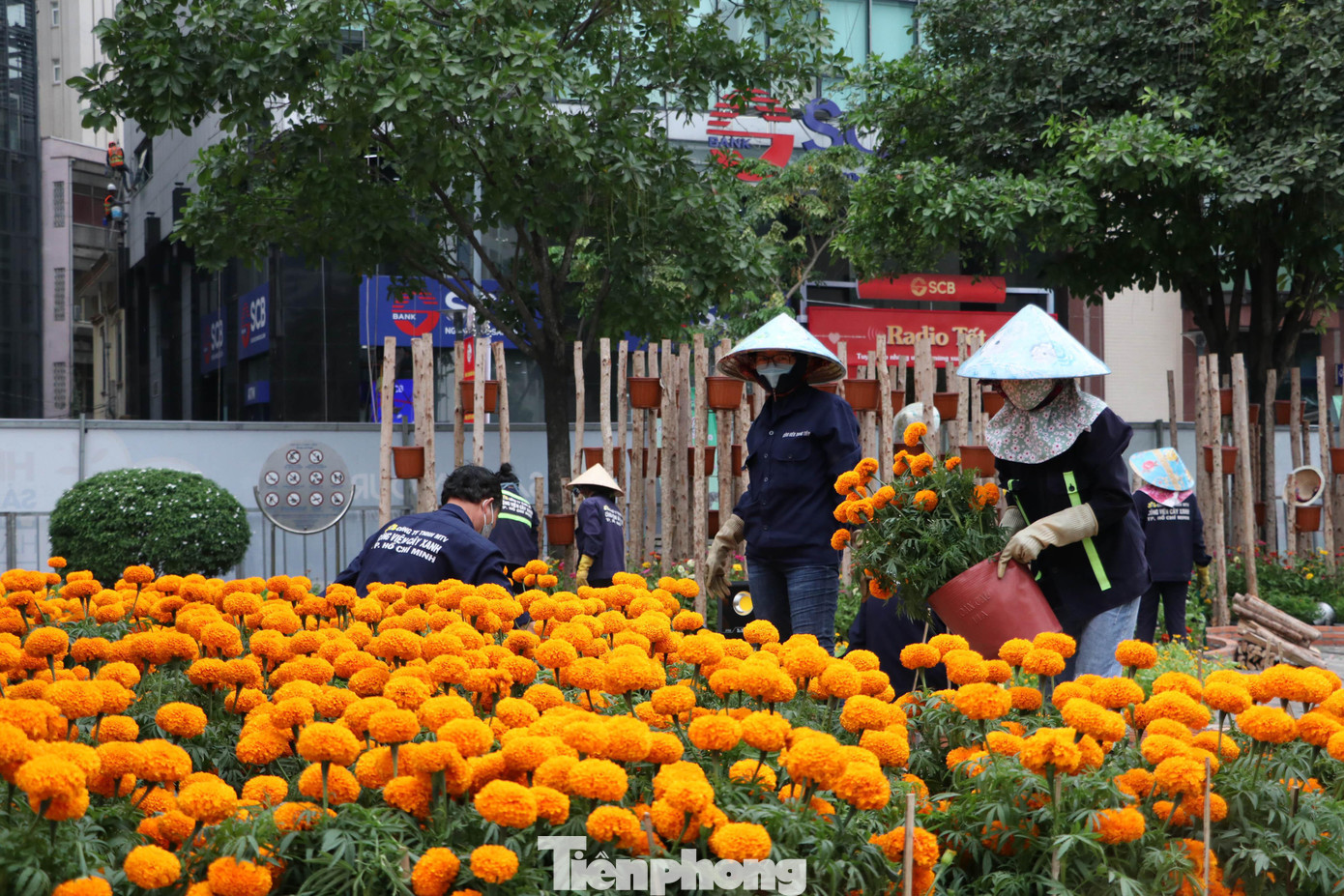 Dọc đường hoa là những hình ảnh quen thuộc nhưng được thể hiện theo thủ pháp hoàn toàn mới. Cánh đồng lúa truyền thống từng xuất hiện nhiều lần trên đường hoa, năm nay được thể hiện mềm mại, uốn lượn như dải lụa và được phân tầng rõ rệt với độ cao đến 2m.
