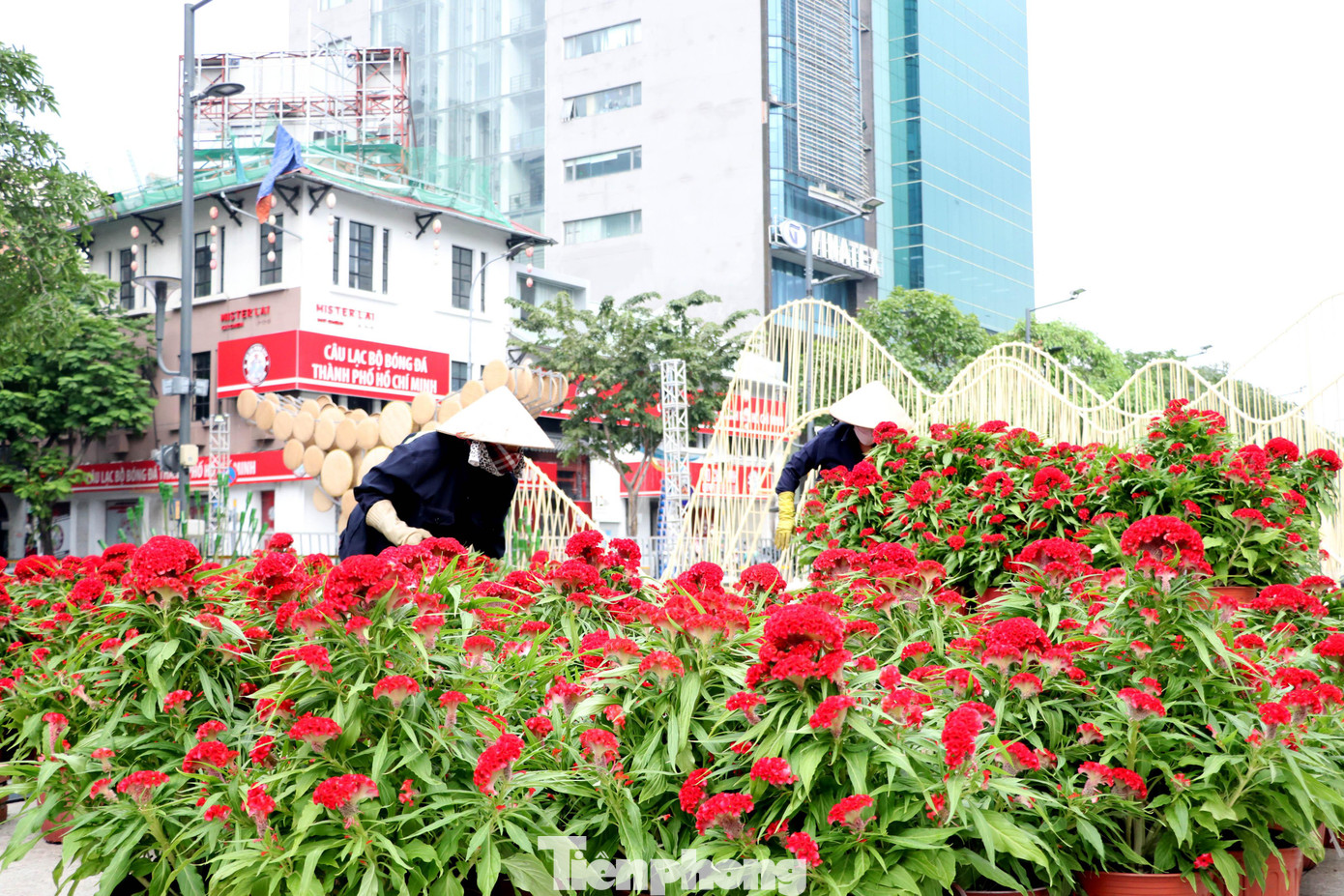 Đường hoa Nguyễn Huệ 2022 là đường hoa thứ 19 được thực hiện trong dịp Tết cổ truyền tại trung tâm TPHCM, kể từ lần đầu tiên vào năm 2004.