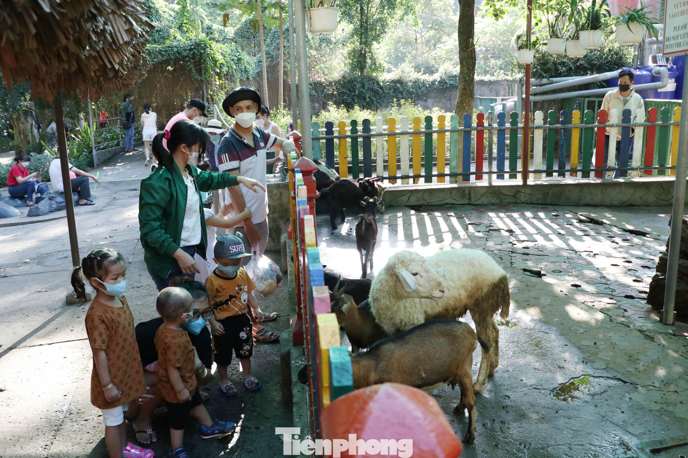 Nhiều em bé thích thú khi được nhìn tận mắt, tiếp xúc với các loài động vật thân thiện trong Thảo Cầm Viên.
