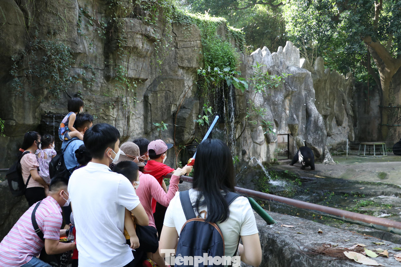 Một số người dân cho biết, nhân dịp đầu năm muốn đưa con đi tham quan, tìm hiểu về các loài động vật được nuôi ở Thảo Cầm Viên.