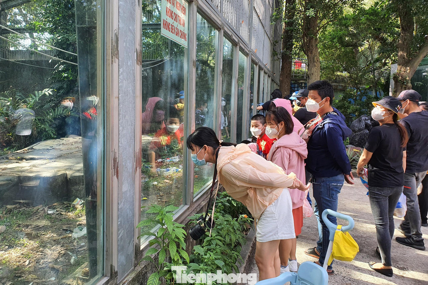 Người dân thích thú ngắm các loài động vật, thực vật quý hiếm.