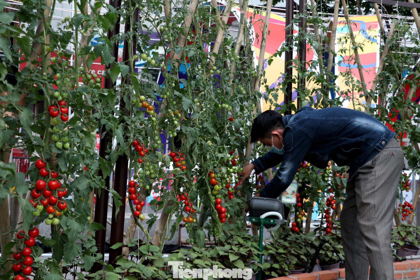 Tích hợp những giá trị văn hóa vào ngôn ngữ thiết kế hiện đại, nhiều thay đổi trong bố cục và nghệ thuật tạo hình, đường hoa Nguyễn Huệ Tết Nhâm Dần 2022 hứa hẹn sẽ tiếp tục tạo nên một không gian trải nghiệm đáng nhớ đối với người dân thành phố và du khách trong những ngày xuân mới.