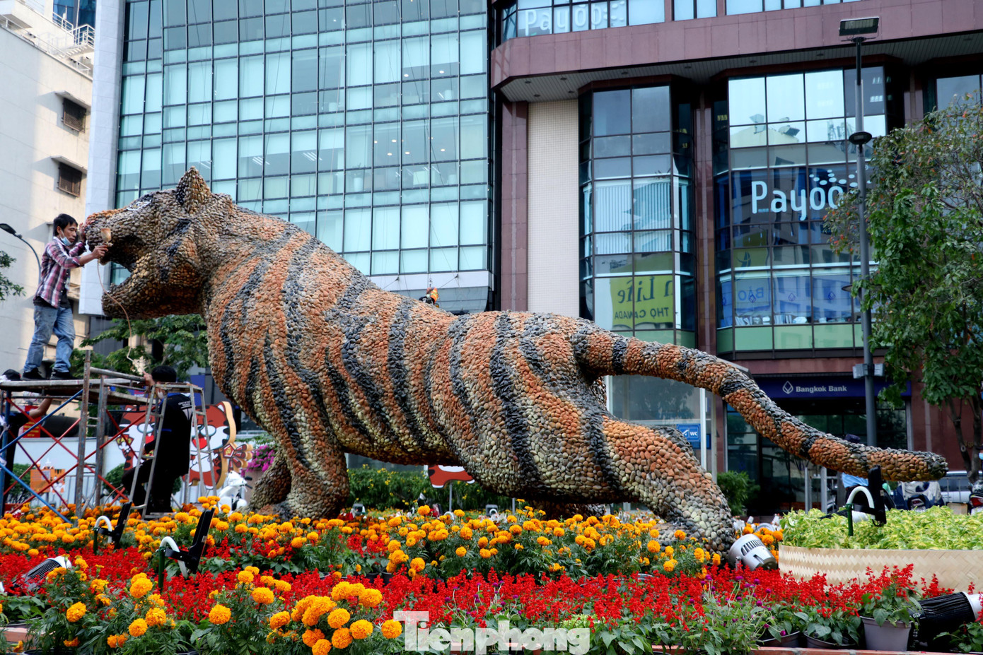 Năm nay cũng là lần đầu tiên, sỏi được chọn làm chất liệu để thể hiện linh vật cho đường hoa. Những viên sỏi được chọn lọc kỹ về kích thước, hình dáng, màu sắc bao bọc xung quanh kết cấu thép và xốp, tạo nên linh vật hổ cao 3,5m, dài 8m và nặng gần 2 tấn.