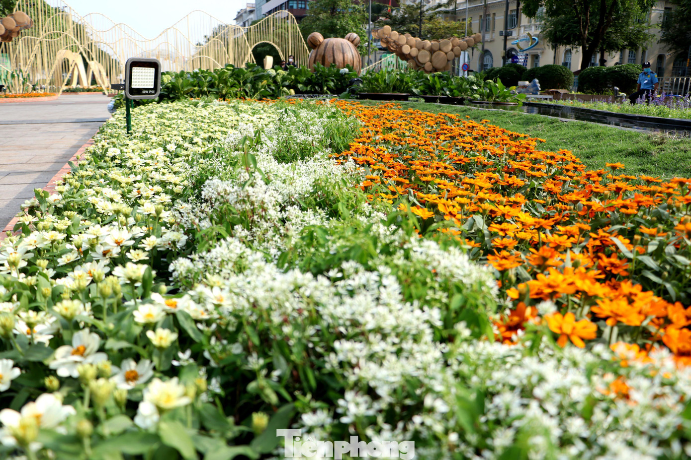 Với chiều dài hơn 600m, đường hoa Nguyễn Huệ Tết 2022 sử dụng nhiều chất liệu thân thiện với môi trường và có thể tái sử dụng như kim loại, xốp, mây, tre, nứa, gạch, lưới, dây đan… cùng khoảng 80 loại hoa, gần 97.000 chậu, giỏ hoa các loại.