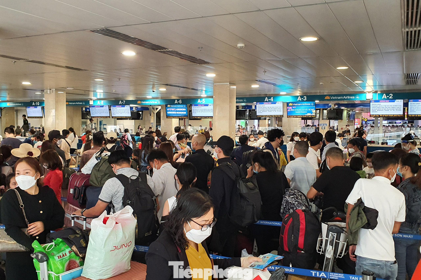 Để thuận lợi cho hành khách đi lại bằng đường hàng không qua sân bay Tân Sơn Nhất, Cảng đã sắp xếp các lối đi riêng theo từng hãng hàng không. Đối với hành khách của hãng Vietnam Airlines, Pacific Airlines, Vasco đi sẽ vào từ lối cửa D2 (Vietnam Airlines làm thủ tục tại đảo A/B/C/D; Pacific Airlines tại đảo E; Vasco tại đảo F).