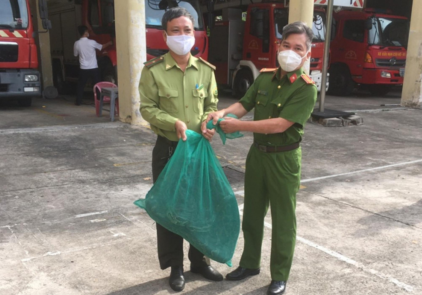 Con trăn được bàn giao cho Chi cục Kiểm lâm TPHCM xử lý.