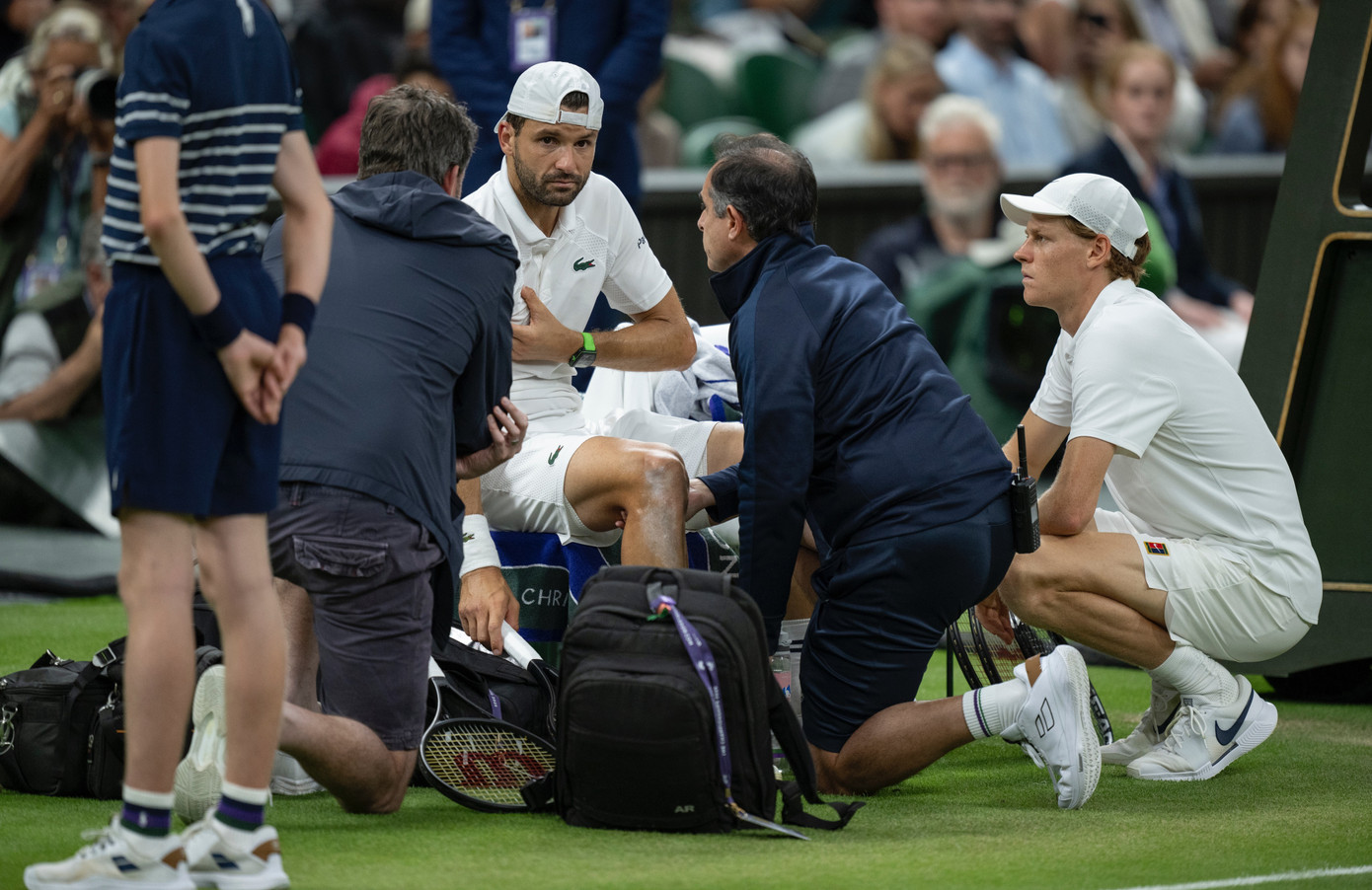 Dimitrov dính chấn thương nghiêm trọng. Dimitrov dính chấn thương nghiêm trọng.