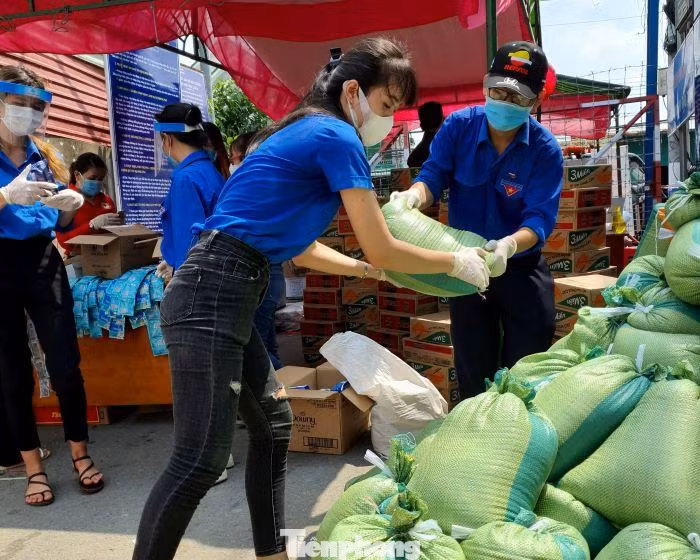 Các bạn đoàn viên cả nam lẫn nữ đều tham gia hỗ trợ người dân hết mình
