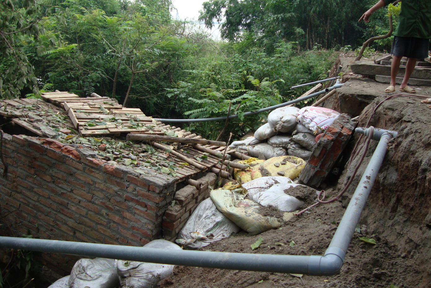 Khu vực chuồng lợn, gà bị sạt xuống sông