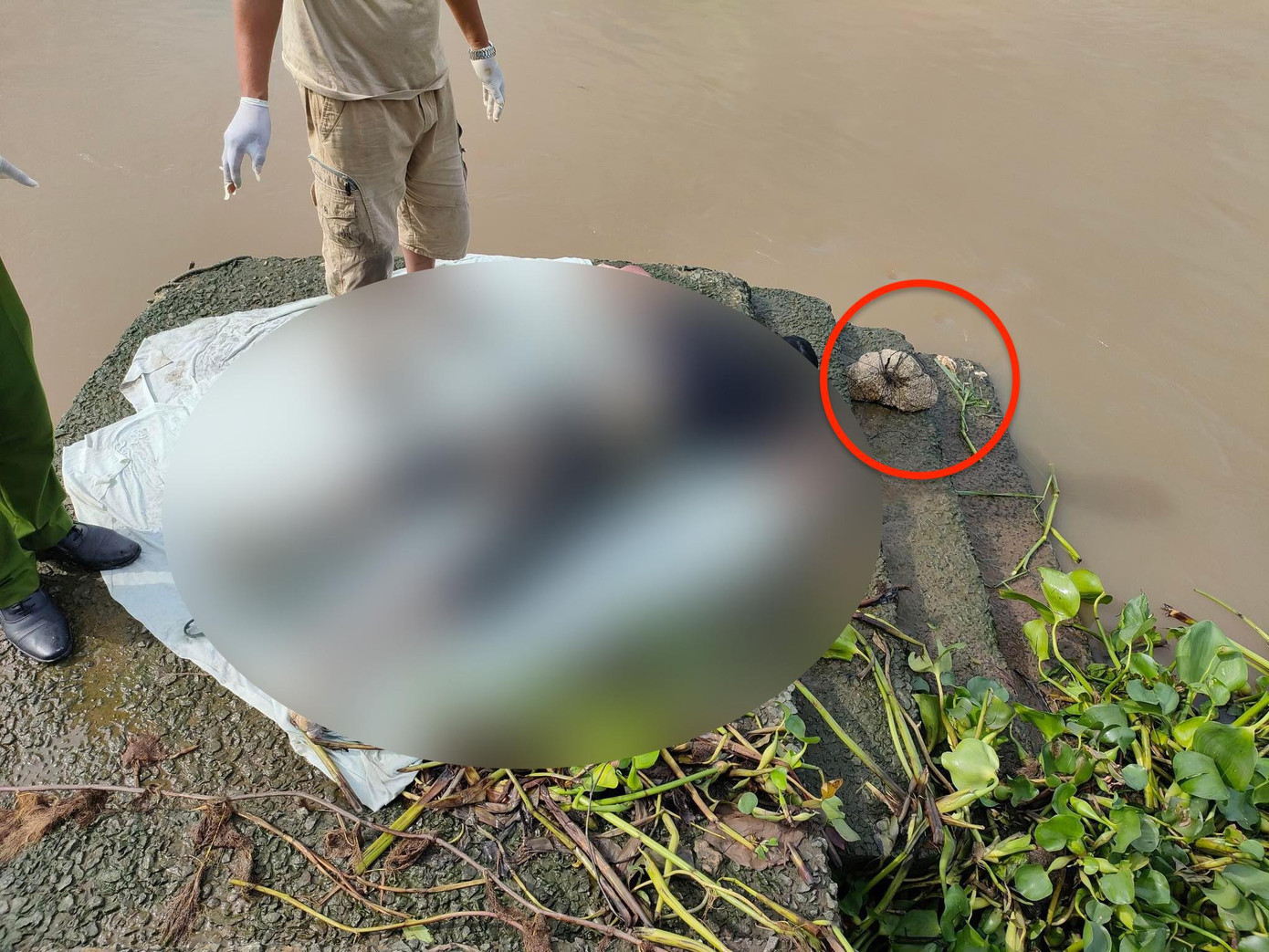 Thi thể nạn nhân bị buộc một hòn đá vào cổ. Thi thể nạn nhân bị buộc một hòn đá vào cổ.