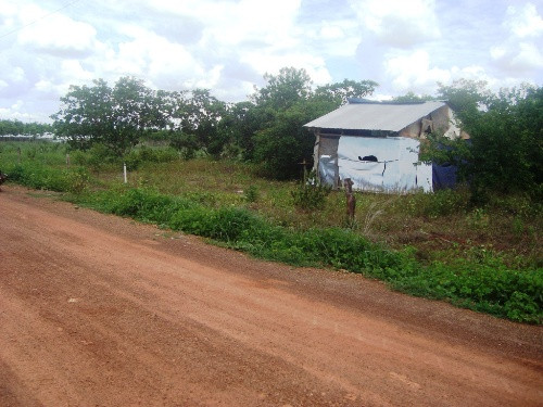 Nhà hoang sau nghĩa trang nơi Nam – Hạnh quan hệ tình dục