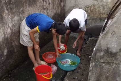 Các nhóm bạn thường góp tiền cùng mua thức ăn và rau