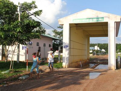Trang trại chăn nuôi lợn của Công ty Bình Phước. Ảnh: Đại Dương