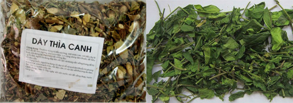 Đổ xô mua thảo dược trị tiểu đường: Rước độc vào thân có ngày ảnh 3