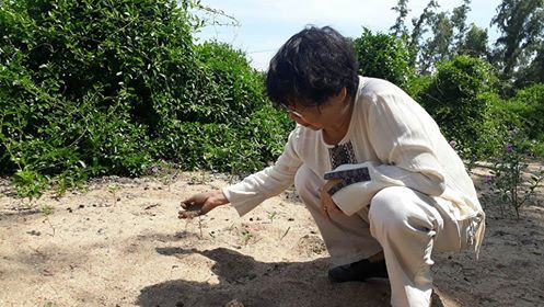 Thăm những vườn cây thuốc đẹp mê mẩn ở Phú Yên ảnh 2