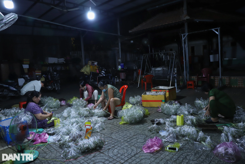 Với những con già đã mọc cánh có giá 500-1.000 đồng. Những con non có giá từ 2.000 đến 3.000 đồng. Mỗi một túi ni lông sẽ có 10 con, được đục lỗ thoáng khí. Cào cào vợt về được bà Phạm Thị Tơi, ở xã Xuân Thới Thượng thu mua. Mỗi ngày, tiền mua hàng dao động khoảng 25 triệu đồng. "Cứ 4 giờ sáng, tôi đem lên khu chợ côn trùng ở quận 5 bán lại cho các tiểu thương. Ngoài ra còn đóng thùng phân phối khắp cả nước. Cái nghề làm mà như chơi, ban đầu không mấy ai biết tới vậy mà gia đình tôi đã có hơn nửa thế kỷ làm nghề này", bà Tơi chia sẻ.