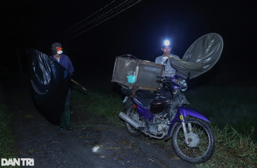 Thời điểm hiện tại là lúc cào cào sinh sôi phát triển. Người bắt đỡ phải đi xa. Nếu có kinh nghiệm và vợt được đúng ổ thì chỉ cần vài tiếng họ đã kiếm được hơn 1.000.000 đồng.