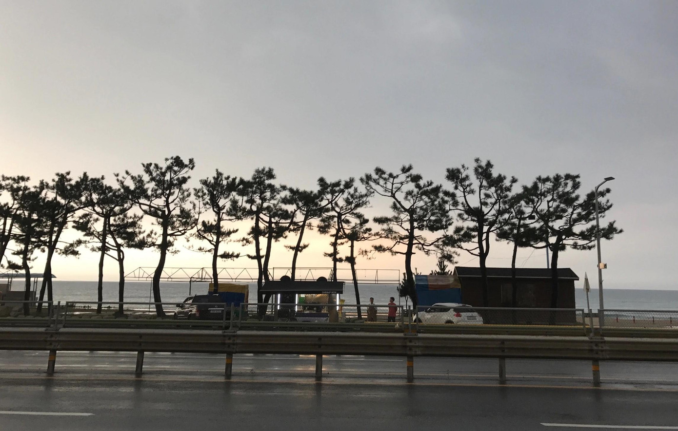 Vẻ đẹp của Yangyang (Ảnh minh hoạ) Vẻ đẹp của Yangyang (Ảnh minh hoạ)