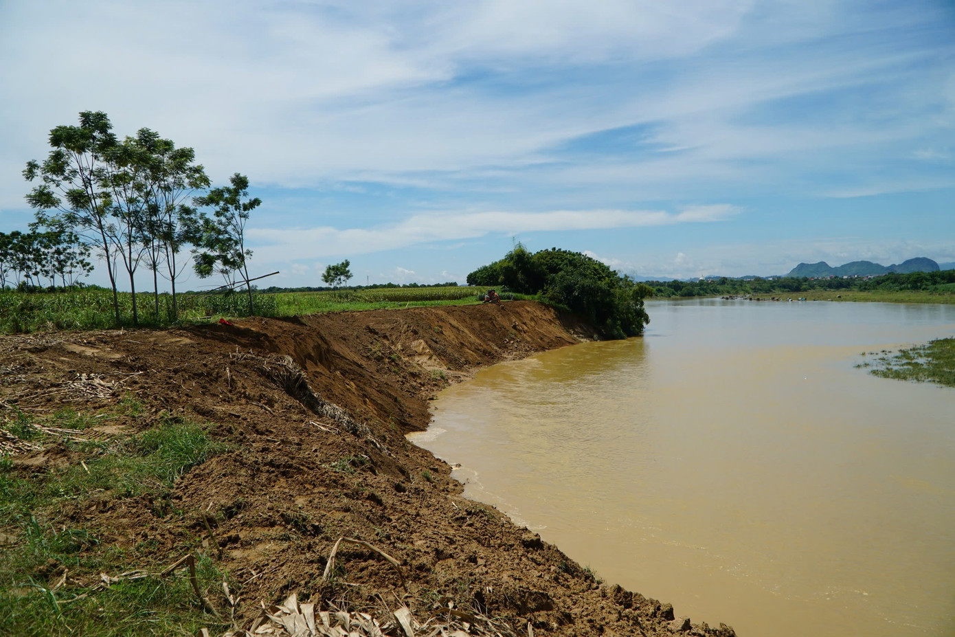 Người dân lo lắng tình trạng sạt lở bờ sông Chu đang tiến gần đến khu dân cư