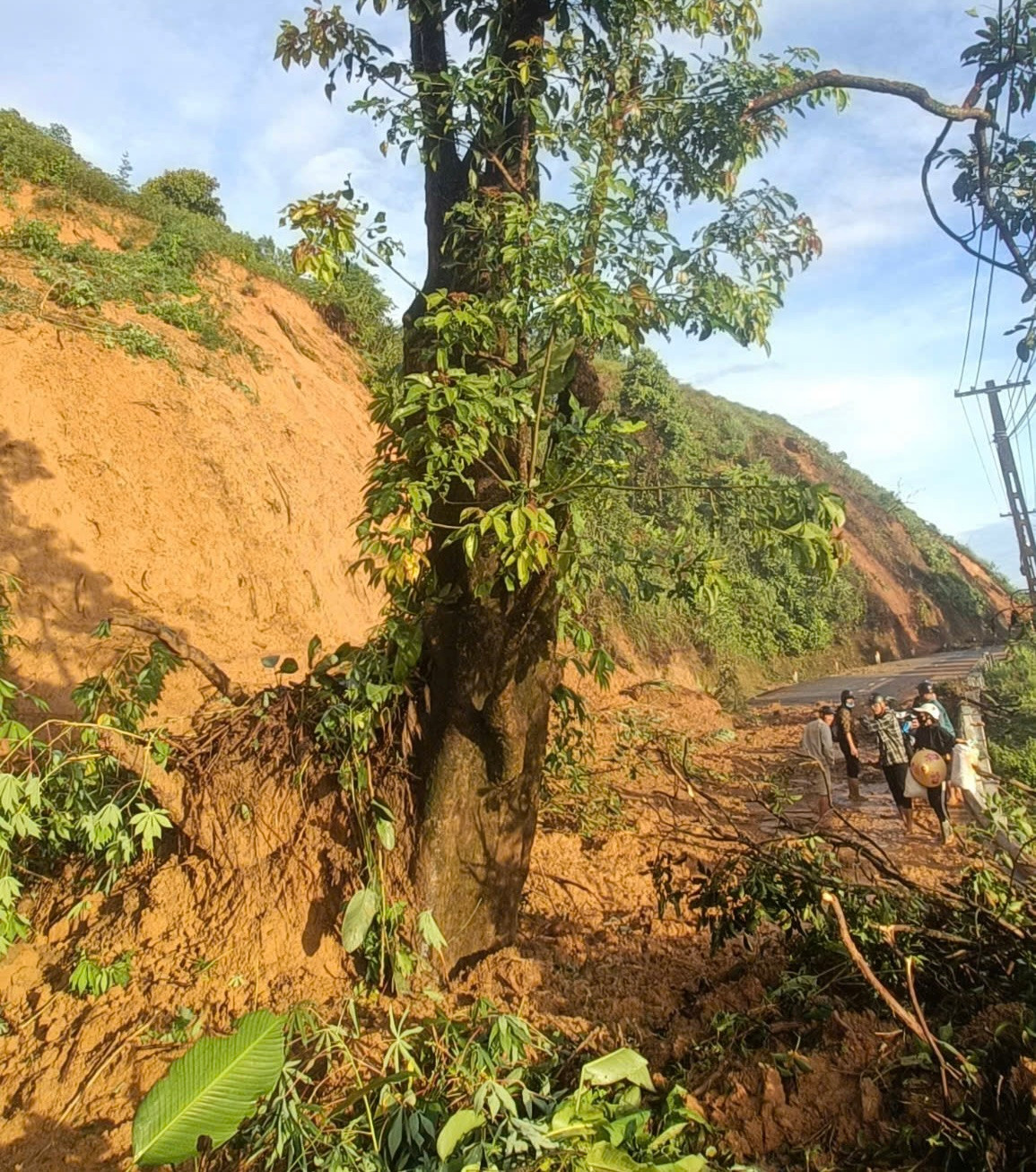 Cây cối, đất rừng sạt tràn lấp đường. Cây cối, đất rừng sạt tràn lấp đường.