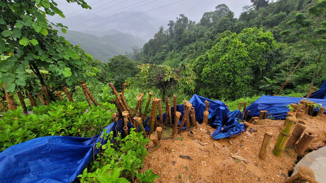 Địa phương sử dụng cọc tre để giữ tạm vị trí sạt lở.